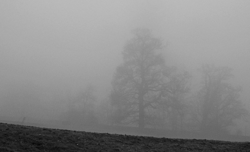 misty